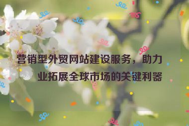 營(yíng)銷型外貿(mào)網(wǎng)站建設(shè)服務(wù)，助力企業(yè)拓展全球市場(chǎng)的關(guān)鍵利器