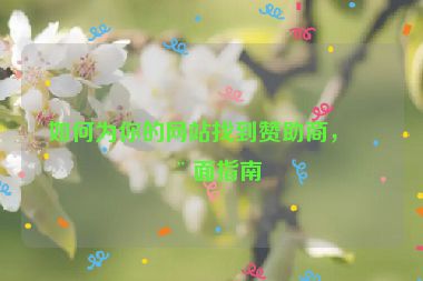如何為你的網(wǎng)站找到贊助商，全面指南