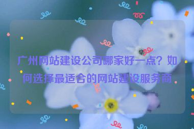 廣州網(wǎng)站建設(shè)公司哪家好一點(diǎn)？如何選擇最適合的網(wǎng)站建設(shè)服務(wù)商