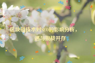 區(qū)塊鏈技術(shù)對(duì)SEO的影響分析，機(jī)遇與挑戰(zhàn)并存