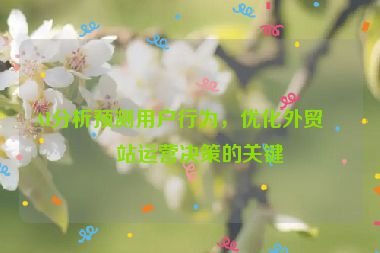AI分析預測用戶行為，優(yōu)化外貿網站運營決策的關鍵