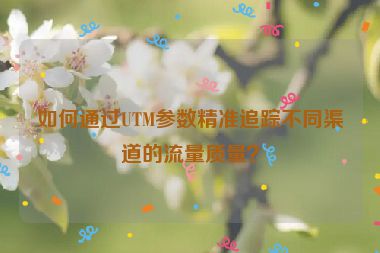 如何通過UTM參數(shù)精準(zhǔn)追蹤不同渠道的流量質(zhì)量？