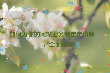 如何為你的網(wǎng)站業(yè)務(wù)制定定價(jià)策略，全面指南