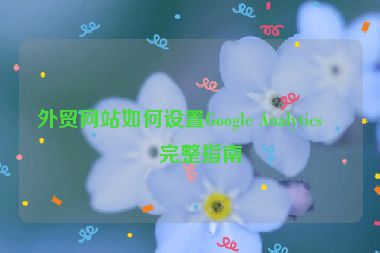 外貿(mào)網(wǎng)站如何設(shè)置Google Analytics，完整指南