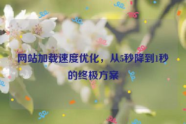 網(wǎng)站加載速度優(yōu)化，從5秒降到1秒的終極方案