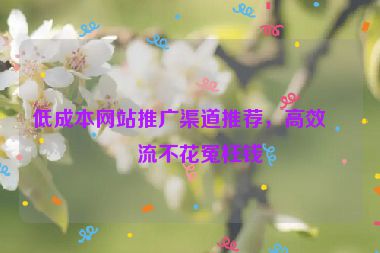 低成本網(wǎng)站推廣渠道推薦，高效引流不花冤枉錢
