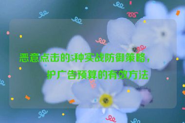 惡意點(diǎn)擊的5種實(shí)戰(zhàn)防御策略，保護(hù)廣告預(yù)算的有效方法