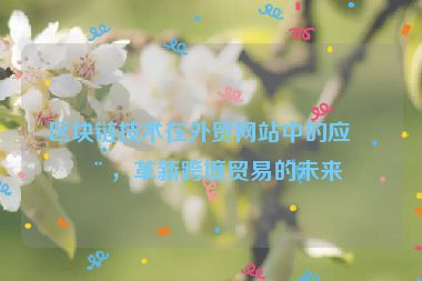 區(qū)塊鏈技術(shù)在外貿(mào)網(wǎng)站中的應(yīng)用，革新跨境貿(mào)易的未來(lái)