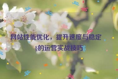 網(wǎng)站性能優(yōu)化，提升速度與穩(wěn)定性的運(yùn)營(yíng)實(shí)戰(zhàn)技巧
