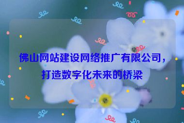 佛山網(wǎng)站建設(shè)網(wǎng)絡(luò)推廣有限公司，打造數(shù)字化未來的橋梁