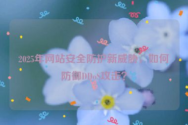 2025年網(wǎng)站安全防護(hù)新威脅，如何防御DDoS攻擊？