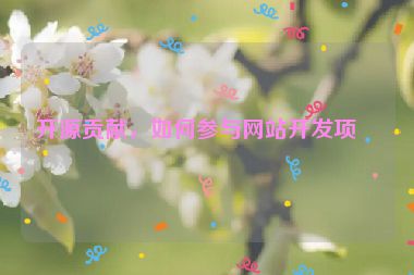 開源貢獻(xiàn)，如何參與網(wǎng)站開發(fā)項(xiàng)目
