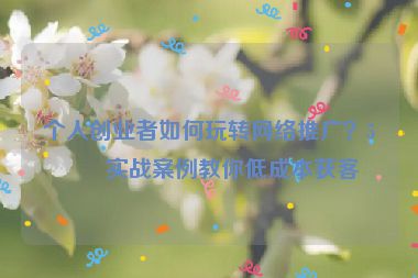 個(gè)人創(chuàng)業(yè)者如何玩轉(zhuǎn)網(wǎng)絡(luò)推廣？5個(gè)實(shí)戰(zhàn)案例教你低成本獲客