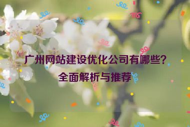 廣州網(wǎng)站建設(shè)優(yōu)化公司有哪些？全面解析與推薦