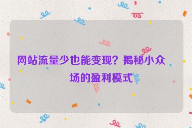 網(wǎng)站流量少也能變現(xiàn)？揭秘小眾市場的盈利模式