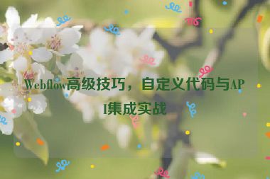Webflow高級技巧，自定義代碼與API集成實(shí)戰(zhàn)