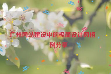廣州網(wǎng)站建設(shè)中的極簡設(shè)計風(fēng)格案例分享