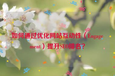 如何通過優(yōu)化網(wǎng)站互動(dòng)性（Engagement）提升SEO排名？