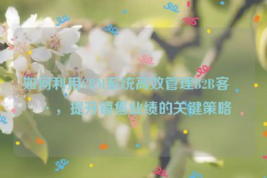 如何利用CRM系統(tǒng)高效管理B2B客戶，提升銷售業(yè)績的關(guān)鍵策略