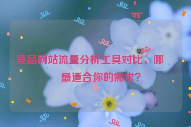 競品網(wǎng)站流量分析工具對比，哪款最適合你的需求？