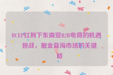 RCEP紅利下東南亞B2B電商的機(jī)遇與挑戰(zhàn)，掘金藍(lán)海市場的關(guān)鍵策略