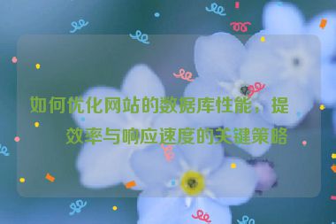 如何優(yōu)化網(wǎng)站的數(shù)據(jù)庫性能，提升效率與響應(yīng)速度的關(guān)鍵策略