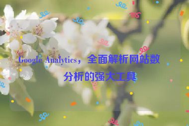 Google Analytics，全面解析網(wǎng)站數(shù)據(jù)分析的強(qiáng)大工具