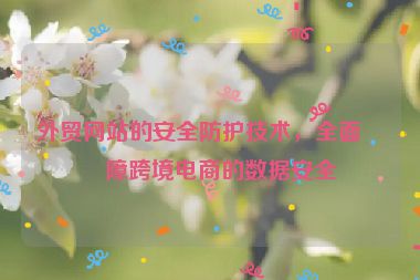 外貿(mào)網(wǎng)站的安全防護(hù)技術(shù)，全面保障跨境電商的數(shù)據(jù)安全