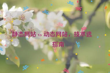 靜態(tài)網(wǎng)站 vs 動態(tài)網(wǎng)站，技術(shù)選型指南