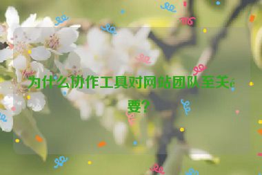 為什么協(xié)作工具對(duì)網(wǎng)站團(tuán)隊(duì)至關(guān)重要？