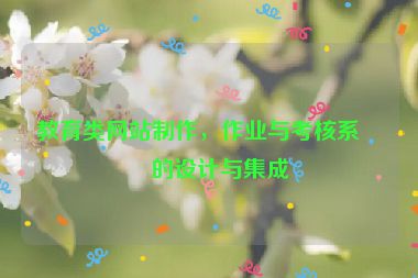 教育類網(wǎng)站制作，作業(yè)與考核系統(tǒng)的設(shè)計(jì)與集成