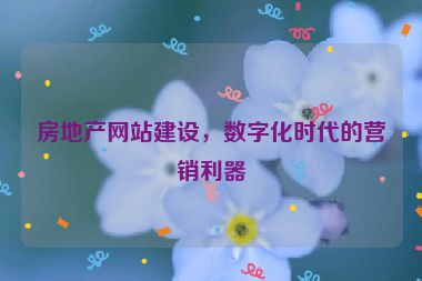 房地產(chǎn)網(wǎng)站建設(shè)，數(shù)字化時(shí)代的營(yíng)銷利器
