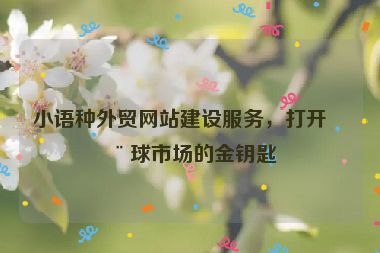 小語種外貿(mào)網(wǎng)站建設(shè)服務，打開全球市場的金鑰匙