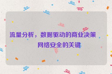 流量分析，數(shù)據(jù)驅(qū)動(dòng)的商業(yè)決策與網(wǎng)絡(luò)安全的關(guān)鍵