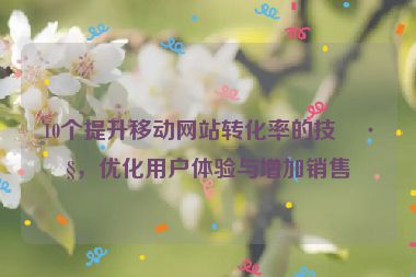 10個(gè)提升移動(dòng)網(wǎng)站轉(zhuǎn)化率的技巧，優(yōu)化用戶體驗(yàn)與增加銷售