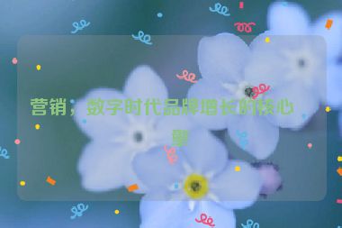 營(yíng)銷，數(shù)字時(shí)代品牌增長(zhǎng)的核心引擎
