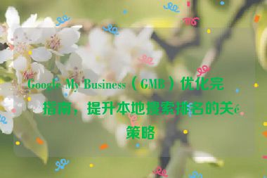 Google My Business（GMB）優(yōu)化完整指南，提升本地搜索排名的關(guān)鍵策略