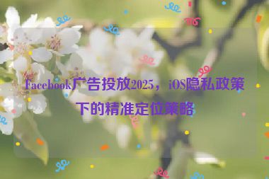 Facebook廣告投放2025，iOS隱私政策下的精準(zhǔn)定位策略
