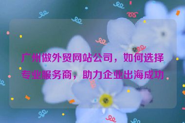 廣州做外貿(mào)網(wǎng)站公司，如何選擇專業(yè)服務(wù)商，助力企業(yè)出海成功