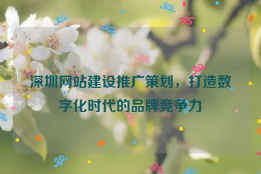 深圳網(wǎng)站建設(shè)推廣策劃，打造數(shù)字化時代的品牌競爭力