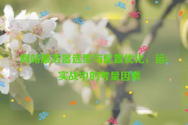 網(wǎng)站服務(wù)器選型與配置優(yōu)化，運(yùn)營(yíng)實(shí)戰(zhàn)中的考量因素