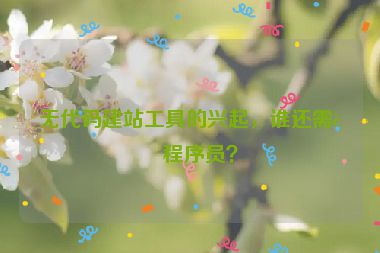 無(wú)代碼建站工具的興起，誰(shuí)還需要程序員？