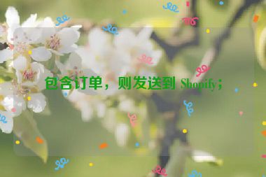 包含訂單，則發(fā)送到 Shopify；