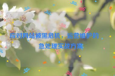 應(yīng)對(duì)網(wǎng)站被黑危機(jī)，運(yùn)營(yíng)維護(hù)的應(yīng)急處理實(shí)戰(zhàn)方案