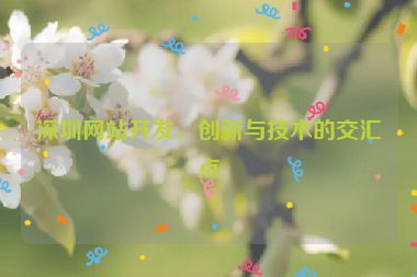 深圳網(wǎng)站開發(fā)，創(chuàng)新與技術(shù)的交匯點