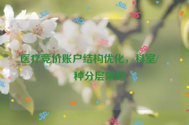 醫(yī)療競(jìng)價(jià)賬戶結(jié)構(gòu)優(yōu)化，科室/病種分層策略