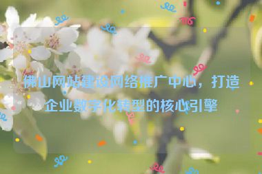佛山網(wǎng)站建設(shè)網(wǎng)絡(luò)推廣中心，打造企業(yè)數(shù)字化轉(zhuǎn)型的核心引擎