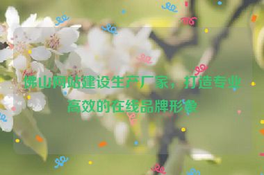 佛山網(wǎng)站建設(shè)生產(chǎn)廠家，打造專業(yè)高效的在線品牌形象