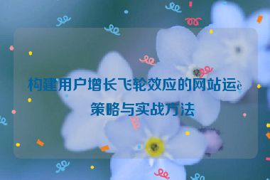 構(gòu)建用戶增長飛輪效應(yīng)的網(wǎng)站運(yùn)營策略與實(shí)戰(zhàn)方法
