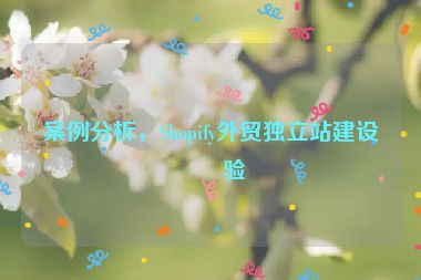案例分析，Shopify外貿(mào)獨(dú)立站建設(shè)經(jīng)驗(yàn)